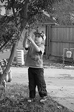 Alex triming the tree