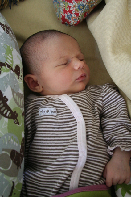 Caroline sleeping on the couch.